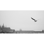 Zpět do rodné Prahy