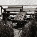 Zátiší na vodě II.