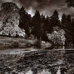 V Průhonickém parku...3