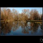 Jaro je tady!!:-) (26.12.06)