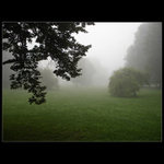 jitro v zelenem podani