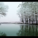 Nesmělý dotek zimy