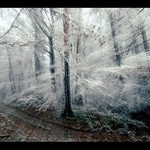 dhe Ledový vítr z hor