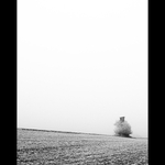 dhe Posed - obrostlý