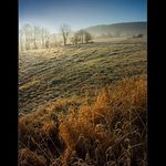 Slunečné ráno v Českém ráji