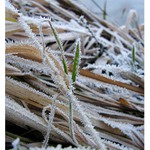 Už to nestihne. :-(