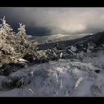 Tam, kde dávají lišky dobrou noc