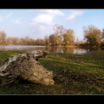 Krajina s hlavou ...