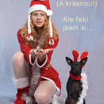 Žádní falešní sobi...