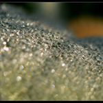 Diamonds