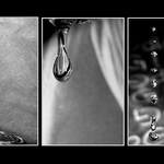 Kohoutkové variace :)