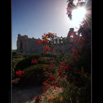 El Djem