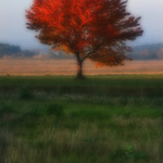 Výhled z naší zahrady