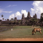 Angkor What?