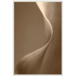 Ladné krivky prírody