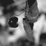 TlusŤjochůff mechanický krassomat