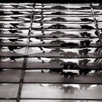 poslední pochod flašinetářů