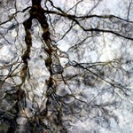 Tanec pro Dahmana (the dance for  Dahman)