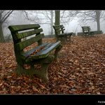 ... čekání v mlze