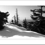 Radegastovo pozdní odpoledne