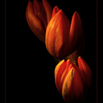 ... burnin\' II. ...