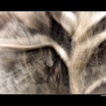 Láska je tretia dimenzia ľudskej duše...