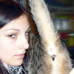 Kočka  leze dírou.