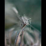 když se čas zastaví ...