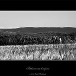 Tříbarevná krajina