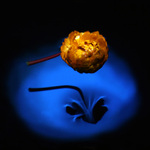 ... JUST FOR YOU ...