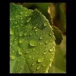 Zvláštní svět...