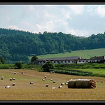 Pohádkové Slezské Beskydy