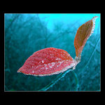 Hier kommt die Sonne