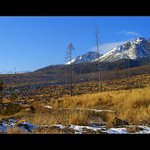 Po víchrici v Tatrách ich ostalo len pár... :(