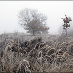 Spící krajina