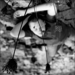 In Dreams
