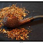 Z vlastní sbírky...