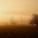 ranní a skoro zimní