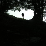 Cesta jde pořád dál a dál kupředu, pryč jde od mých vrat. Daleko už mi utekla a musím za ní pospíchat. Na lehkých nohou dám se vést až k cestě větší, nežli znám, tam, kde se stýká mnoho cest. A potom