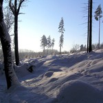 Zima v Pežgovském lese