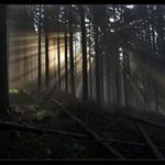 ráno na Tisovském vrchu