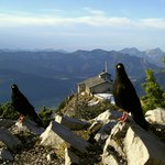 Eagle´s nest