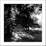 Návraty do veltruského parku XXIII