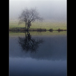 Tento způsob zimy zdá se mi poněkud nešťastným