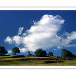 Venku je divně...II.