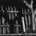 Sám se svým stínem