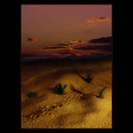 ***PŘEJÍT POUŠŤ***