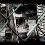 .:: dvorek smutných zvířátek ::.