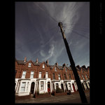 ELECTRIC TREE - Fragment of Belfast VII.
