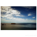 sheep island III.